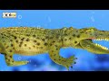 Escape from Crocodile 2ㅣlearning animal names, animal animationㅣCoCosToy