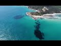 Moreton Island Beautiful Scenic Views | Australian Islands Tourist Attractions💙