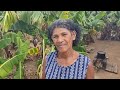 UM DIA MARAVILHOSO COM DONA KINÔR E FAMÍLIA, VEJA A CONSTRUÇÃO NO SERTÃO MAMOEIRO.