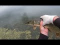 Northern Pike strike and goes airborne!