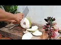 the easy to peel young coconut part 20#cuttingskills #coconutcuttingskills #youngcoconut#coconuttree
