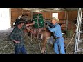 How to pack a riding saddle with Paul Decker