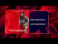 AfroDancehall - Liam Dancehall ( Afro Dancehall 2021 )