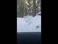 Driving in big bear CA after a decent snow December 30 2020