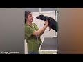 When Your Dog's Too Bored with The Vet - Funniest Dog Reaction