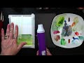 Painting Birch Trees: Using The Curated Collection Of Art Supplies