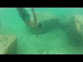 Bahamas underwater footage