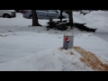 Mentos and Diet Pepsi geyser.