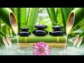 Healing Music for Relaxation 🌿 Music to Rest the Mind, Relieve Stress, Anxiety