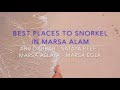 Egypt | Best Places to Snorkel in Marsa Alam and Sharm el Sheikh