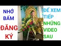 NHỮNG MẪU CẮM HOA RẤT ĐẸP | PHẦN 1