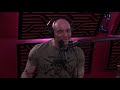 Joe Rogan Talks About Chimp Attacks