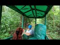 St. Lucia Rainforest tram ride, January 2024