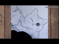 Girl wanna kiss cute cat pencil art !