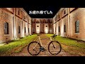 【15分で巡る旅】舞鶴 赤れんが 自転車散歩