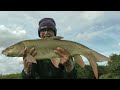 562 River Swale barbel. Some you win