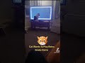 Cat Wanting To Play Retro Snake Game Using With Paws On Tv. 😂🤣😂🤣😂