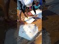 unbelievable sea fish cutting skill