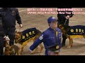 警察犬の記念撮影がメチャかわいいww 千葉県警年頭視閲2024 Chiba Pref. Police K-9 New Year Ceremony