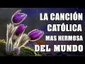 LAS MEJORES CANCIONES CATÓLICA 2023 🙏🏻 DIOS ES FUENTE DE VIDA Y ES PERANZA EN LA NOSOTROS 🙏🏻❤️