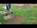 Reseeding Some Bare Spots. - DIY Lawn Guy