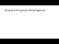 Pentose Phosphate Pathway - Regulation, Purpose and Importance in Human Health