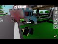 Roblox brookhaven rp cjmario44 selling ice cream and crash