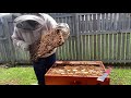 Flow Hive Inspection