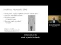 2021 Peripheral Neuropathy - Dr. David Saperstein