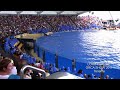 LORO PARQUE Orca Show 2011 Tenerife