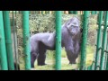 Manila Zoo Advocacy TVC