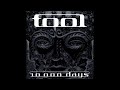 TOOL - Right In Two (Audio)