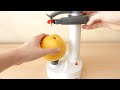 La Meilleure Machine pour Fruits Du MONDE !