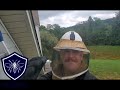 Hornet Nest Removal Downingtown PA