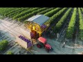 Oxbo Raspberry & Blueberry Harvesters