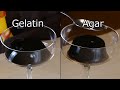COFFEE JELLY  Gelatin vs Agar