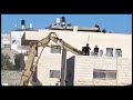 🔴 الاحتلال يهدم منزل الأسير المحرر جهاد عطون في صور باهر جنوب القدس المحتلة