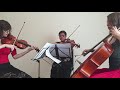 G. E. Music Project - ONE DAY - PIRATES OF THE CARRIBEAN: AT WORLD'S END (String Trio Cover)