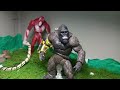 Godzilla x Kong The new Empire, an Epic Battle Stop motion. (Part 1)