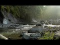 Forest Landscape With Nature Sounds, Relaxing River Sounds