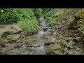 Calming Sounds of Mountain Water Stream | Relaxing White Noise Water Sounds for Sleep, Relaxation