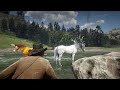 RDR 2 | ARBIAN CUSTOM HORSE | BEST HORSE TAMER ARTHUR | CAUGHT HORSE