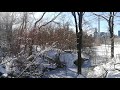 Winter morning - New York City - Central Park - Frozen lake (shaky)