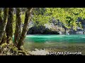 Beautiful relaxing music for stress relief - Nature sounds for sleep,relaxation & meditation