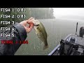 Fluke ONLY Day of Bass Fishing!