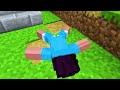 Minecraft BUT What You Touch TURNS TO GOLD!