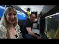 FULL Aquarium Gallery Tour with the king of DIY