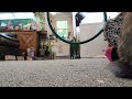 BUNNY RABBIT knows how to do a TRICKS JUMPING in the HOOPS