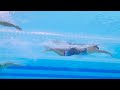 Underwater cam: Katie Ledecky's historic four-peat in 800m freestyle | Paris Olympics | NBC Sports