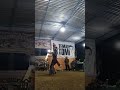 LIVE TARI KUDA KEPANG KARYA MUDA